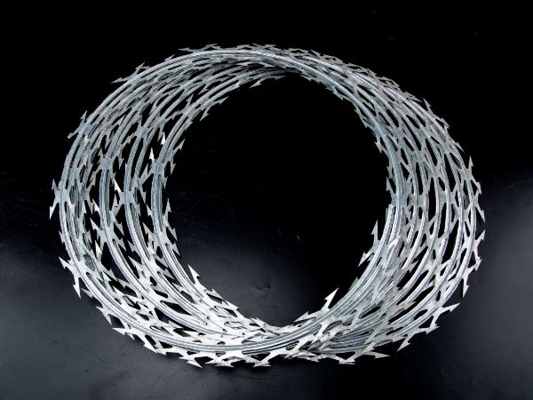 Fish-Hook Blade Concertina Wire for Maximum Security Protection